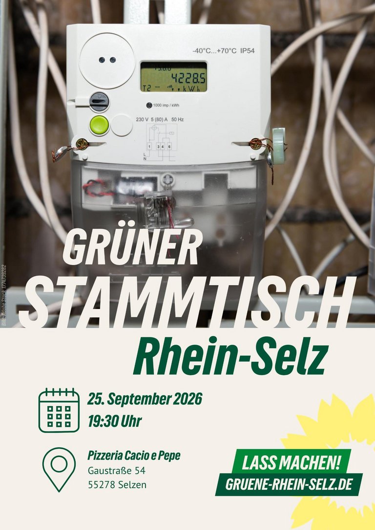 Intelligentes Messsystem für Dynamischen Stromtarif (Symbolbild) Bild zu GRÜNER Stammtisch Rhein-Selz: Dynamische Stromtarife (Selzen)