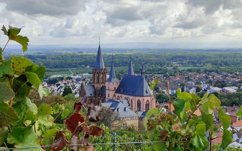 Oppenheim: Blick auf Katharinenkirche